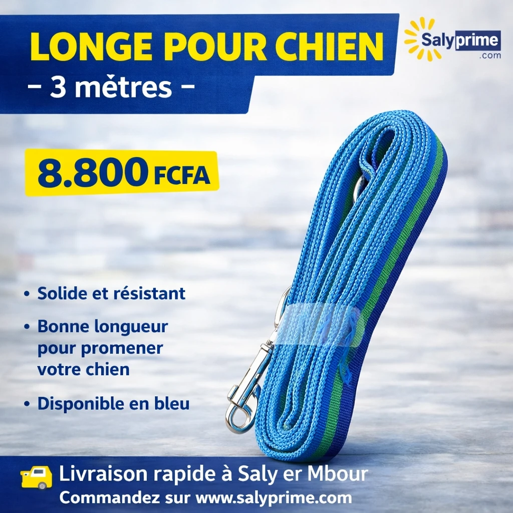 Laisse pour chien 3 mètres