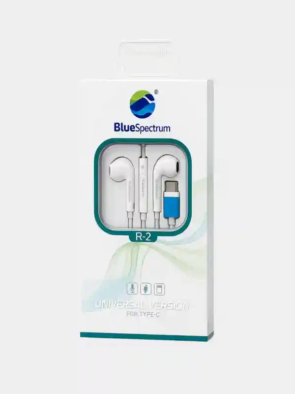 Ces écouteurs sont des Blue Spectrum R-2 avec connecteur Type-C.